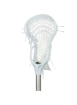 STRINGKING COMPLETE 2 INTER